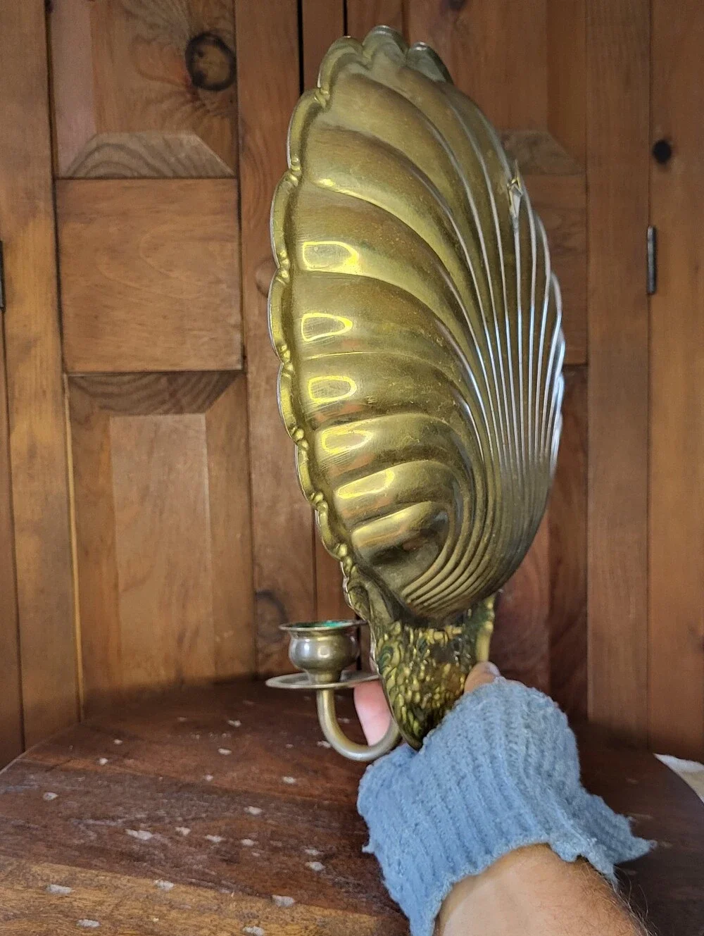 Brass Shell Wall Sconce with Candle Holder